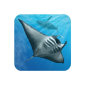 Ocean Dream (App)