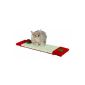 Trixie 92399 Xmas scratching board with plush, 15 × 62 cm (Misc.)