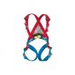 a good full body harness for small children