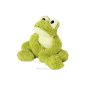 Cuddly toy frog