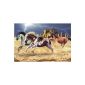 SpielSpass Verlag 44502 - Horses in Canyon 3D, 1,000 parts (Puzzle)