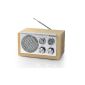 AudioSonic RD-1540 retro Radio AM / FM tuner AUX (Electronics)