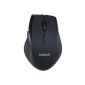 Daffodil WMS328B Wireless Optical Mouse / Wireless Mouse - Computer mouse with 5 buttons, wheel and DPI (PPP) Adjustable (Max: 1600) - For Laptop / Notebook / Desktop - Compatible with Microsoft Windows (7 / XP / Vista) and Apple Mac (OS X +) - Powered by 2 AAA batteries (included) (Personal Computers)