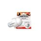 Alpine Party Plug hearing protection (electronic)