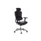 HJH OFFICE 652 200 office chair / executive chair Ergohuman leather, black (household goods)