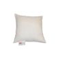 Homescapes or synthetic Cushion Pillow Deluxe 45 x 45 cm Microfibre anti mite is for your Health and Wellbeing (Kitchen)
