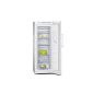 Siemens GS29NVW30 Freezer / A ++ / freezing: 195 L / white / NoFrost / Big Box / EcoPlus (Misc.)