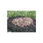 Compost worms, garden worms, earthworms - 0.5 Kg (garden products)
