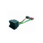 Phonocar 4/637 Cable for car radio ISO Renault Multicolor (Electronics)