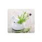 Wenko 2511911500 Decorative plate and splash Garden Herbs 56 x 50 cm (Kitchen)