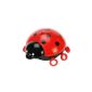 ANSMANN Starlight ladybug, starry night light, star projector 5870012 (tool)