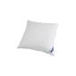 Šumava 109601-35 pillow 70% feather / 30% down / 80 x 80 cm (household goods)