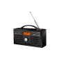 Hama DR1100 digital radio (DAB + / DAB / FM, mains or battery operation, headphone output, alarm) (Electronics)