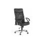 TOPSTAR 48621 A80 Executive chair Leather / mesh combination Airway Express 06-21 black (household goods)