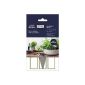 Avery 62028 Living recordable plant signs, 76 x 145 mm, gray, white (Office supplies & stationery)