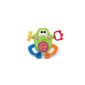 Mattel Fisher-Price W4121 - discoverer frog, Dexterity Toy (Toys)