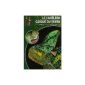The veiled chameleon Yemen: Chamaeleo Calyptratus (Paperback)