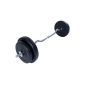 Curl Dumbbell 30kg barbell bar incl. Weight discs and star closures (equipment)