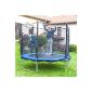 Garden trampoline trampoline 250 cm, incl. Safety net, ladder and tarpaulin (Misc.)
