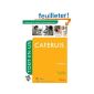 Certificate of proficiency as coaching and responsible social intervention unit - CAFERUIS - All-in-One (Paperback)