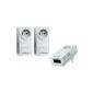 Netgear XAVT5602 Pack 3 PLC adapters 500Mbps female electrical socket Compatible Internet box, PC peripherals, TV, console, PowerLine Homeplug AV (Personal Computers)