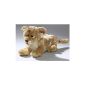 Lion cub plush, 32cm of Carl Dick (Toys)