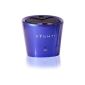 Ryght R481023 Bluetooth mobile speaker with microphone Decibel Pure Blue (Electronics)