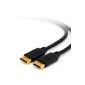 CSL - 3m (meters) DisplayPort (DP) to DisplayPort (DP) Cable | 1080p | Certified | shielded | 24k gold plated contacts | for video cards / PC and Apple | 3.0 meters (Electronics)