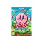 Kirby and Rainbow sky Brush (Video Game)