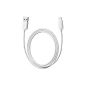 BUYSICS Loading Forage sync cable (1 meter, white) for smartphones and tablets from Apple: iPhone 5 / 5S / 5C / 6/6 Plus, iPod Touch 5, iPad mini 1/2/3, iPad Air / 2, data cable for charging and syncing, Apple licensed (Accessories)