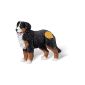 Ravensburger 00373 - tiptoi pawns: Bernese Mountain dog (toy)