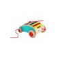 Janod - 05374 - Toys First Age - Xylo Roller Tatoo (Toy)