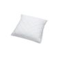 Billerbeck 2460490010 fiber pillow 321 Carat, 80/80 cm white (household goods)