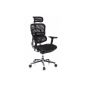 HJH Office 652 111 office chair / executive chair Ergohuman network fabric, black (household goods)