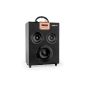 ONEconcept Central Park Mobile 2.1 Party Bluetooth speaker system with battery operation (USB-SD slot, FM tuner, AUX, remote) (Electronics)