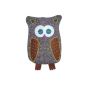 Hugo Frosch Eco Hot Water Bottle Junior Comfort 0.8 Ltr. Owl knit cover brown white