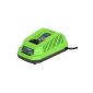 40V Lithium-Ion Charger Greenworks Tools (Tools & Accessories)