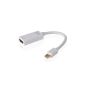 VicTsing® Thunderbolt / Mini DisplayPort to HDMI Adapter AV HDTV Support TV 4K resolution and 3D Adapter Cable for Apple Macbook Pro, iMac, MacBook Air, Mac mini Microsoft Surface Pro 1/2 Pro / Pro 3, Thinkpad X1 / Carbon / Touch / Helix (electronic devices)