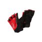 Gore Bike Wear Alp-X 2.0 Gloves (Sports Apparel)