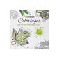 Extraodinaires Coloring - Coloring Therapy (Hardcover)