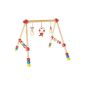 Bieco 4002314 Wood Gym, height adjustable, red (Baby Product)