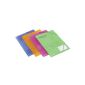 Rexel - Set of 4 Shirts Rabat - A4 - Color Matching - Ice (Office Supplies)