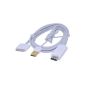 VicTsing Dock Connector to HDMI / HDTV / AV / TV and USB charge cable for iPhone 4 / 4S / iPad 2/3 / 1.8 m iPod (Electronics)
