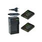 ChiliPower Sony NP-BG1, NP-FG1 Kit: 2x Battery (1100mAh) + charger for Sony Cybershot DSC-HX5V, DSC-HX7V, DSC-HX9V DSC-HX10V, DSC-HX20V, DSC-HX30V, DSC-H3, DSC -H7, DSC-H9, DSC-H10, DSC-H20, DSC-H50, DSC-H55, DSC-H70, DSC-H90, DSC-N1, DSC-N2, DSC-T20, DSC-T100, DSC-W30 , DSC-W35, DSC-W50, DSC-W55, DSC-W70, DSC-W80, DSC-W90, DSC-W100, DSC-W120, DSC-W130, DSC-W150, DSC-W170, DSC-W200, DSC -W210, DSC-W215, DSC-W220, DSC-W230, DSC-W270, DSC-W290, DSC-W300, DSC-WX1, DSC-WX10, Handycam HDR-GW77V (Electronics)