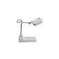 Laron S3106 manicure table lamp with stand Magnifying Lamp Magnifying Lamp Magnifying lamp (Luggage)