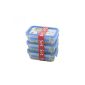 508570 Emsa Clip & Close 3D Perfect Clean Set of 3 Boxes 0.55 L Food Stack (Food)