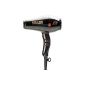 Parlux 385 Power Light and Ionic Ceramic Black (Health and Beauty)