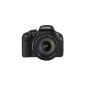 Canon EOS 550D SLR Digital Camera Kit 18.1 Mpix 18-135mm Lens Black (Electronics)