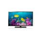 Samsung UE42F5070 106 cm (42 inch) TV (Full HD, Triple Tuner) (Electronics)