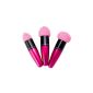 3 Brushes Applicators / Agitators for Background Complexion Liquid / Cream Sponge Head - Color Pink by Cheeky® (Miscellaneous)